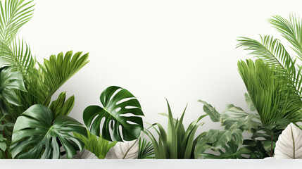 白地に空の白い丸いコースターとエキゾチックな葉,A white round coaster with no objects on it, accompanied by exotic leaves on a white background,Generative AI