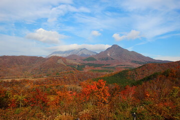 鳥取大山と紅葉（蒜山の鬼女台から）