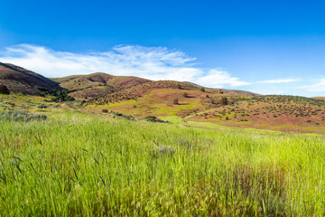 The grasslands and rolling hills of the Tygh Valley in Oregon, USA