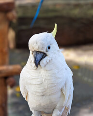 Bali, Indonesia - July 20, 2023: Tropical paradise known for its lush landscapes, vibrant culture, ancient temples, and beautiful beaches.
