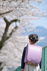 桜の下でランドセルを背負った小学生の女の子