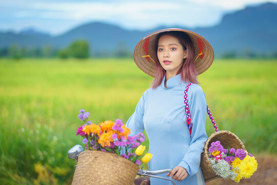 Beautiful Vietnamese Asian woman wearing a blue color Ao Dai National Costume Dress with red bicycle and flowers fresh yellow rice fields mountain background. Portrait fashion show in nature.