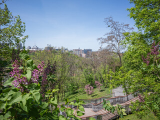 Fototapeta na wymiar cityscape and public park surrounded by green trees in sunny day