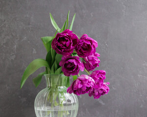 bouquet of gray red lilac tulips in glass vase on dark background. flower bouquet in vase on table. Gift interior decoration. florist, decorator. Flower shop.