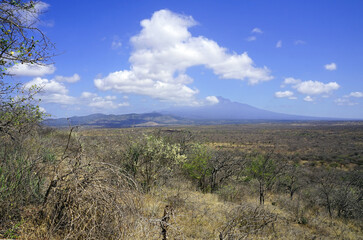 Savannah landscape during dry season with Mount Kilimanjaro in the background
