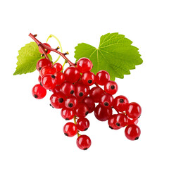 Red currant fruit cluster with detailed full body, vividly depicted on a transparent background for versatile use.