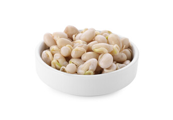 Dish with sprouted kidney beans isolated on white