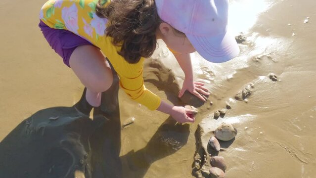 Little girl winter clamming at Pismo Beach