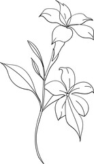 Jasmine flower abstract illustration