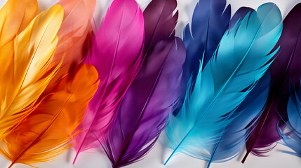Fototapeta premium Vibrant carnival feathers in a spectrum of colors isolated on a transparent background. AI generative