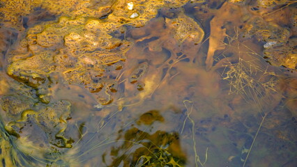 abstract art made by mother earth, Pond minerals in Geysers, Yellowstone national Park, Wyoming