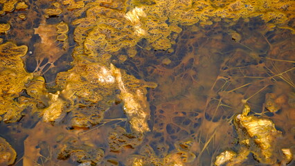 abstract art made by mother earth, Pond minerals in Geysers, Yellowstone national Park, Wyoming
