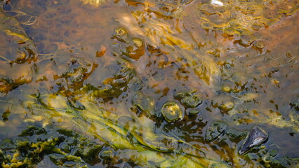abstract art made by mother earth, Pond minerals in Geysers, Yellowstone national Park, Wyoming