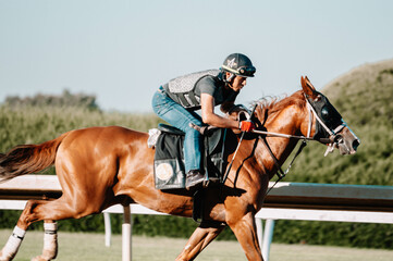 Jockey galloping race horse