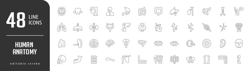 Human AnatomyLine Editable stoke Icons set. Vector illustration in modern thin lineal icons types: teeth and gums, esophagus, pharynx, small intestine, stomach,  and more.