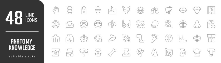 Anatomy KnowledgeLine Editable stoke Icons set. Vector illustration in modern thin lineal icons types: Hand, Spine, Finger, Join, Bladder,  and more.