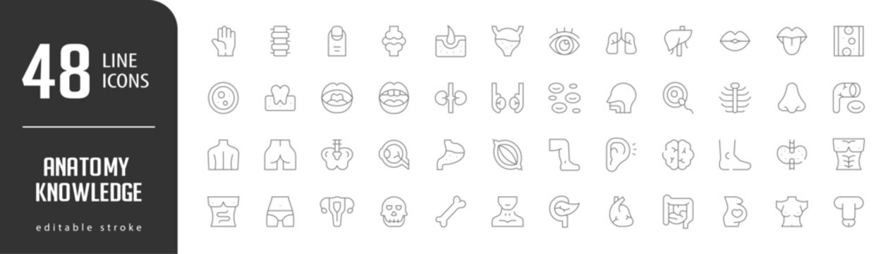 Anatomy KnowledgeLine Editable stoke Icons set. Vector illustration in modern thin lineal icons types: Hand, Spine, Finger, Join, Bladder,  and more.
