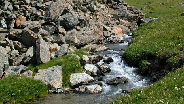 Video of Altai river Yarlyamry. The stream runs along moraine and alpine forb meadow.