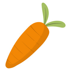 illustration of a carrot
