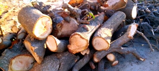 stack of firewood 