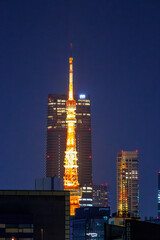 東京タワー。
東京の夜景。

東海汽船東京湾〜伊豆諸島航路のさるびあ丸船上にて。
2023年11月1日〜5日撮影。

Tokyo tower.
Night view of Tokyo.

On board the ship Sarubia Maru on Tokai Kisen's Tokyo Bay to Izu Islands route.
Photo Taken November 1-5, 