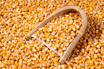 organic grain yellow corn seed or maize Full-Frame Background. Top View