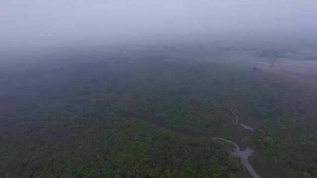 Natural scenery, above Way Kambas Forest National Park. covered in mist.