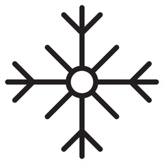 Obraz premium snow flake