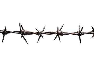 Isolated barb wire strands on white background