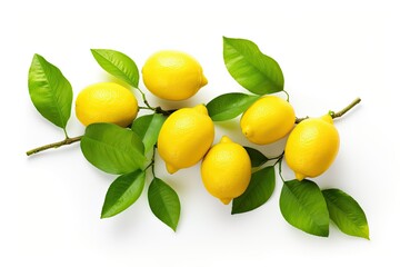 Isolated lemon on white background with green leaves