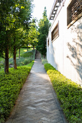 Fototapeta na wymiar Garden path behind the house