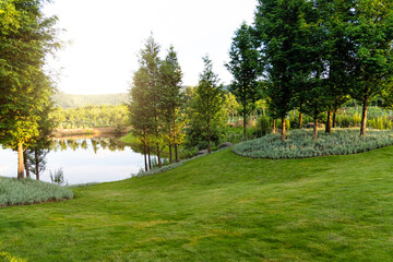 Landscape of the beautiful pond