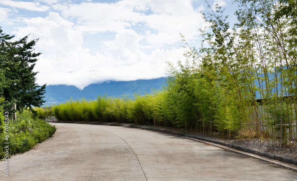 Poster highway with trees on both sides