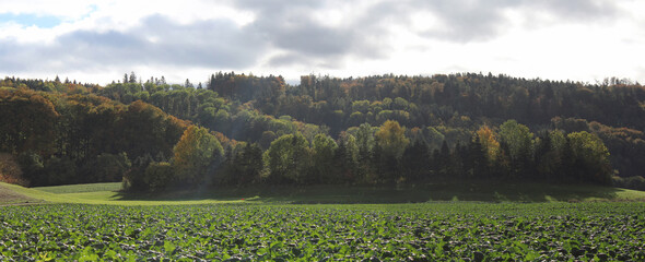 Agricultural Landscape