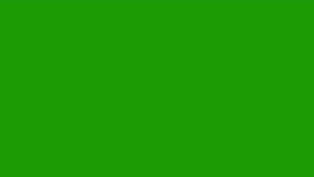White Simple Rectangle Reveal From Left Side on Green Screen. Footage Transition