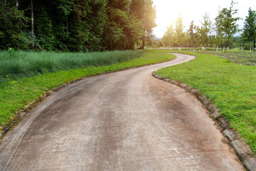 Cement pathway in the park