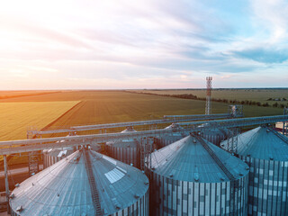 Grain silos on a green field background with warm sunset light. Grain elevator. Metal grain...
