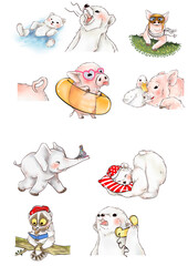 Bear elephant pig animal friends illustrations drawing water color - 677021246