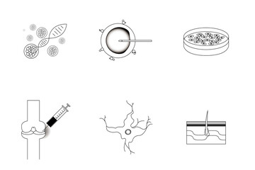 Illustration related to stem cells. Chromosomes, stem cells, medium, neurons, hair cells.
