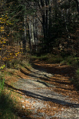 Mountain trail during autumn trips