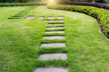 Stone path in the garden