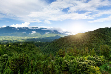 Landscape of mountain covered fog