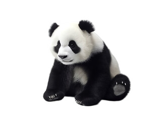 Front view, lovely panda with sitting position, isolated on transparent background. 
