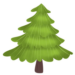 Christmas tree, a pine tree, which is a symbol of the Christmas festival.