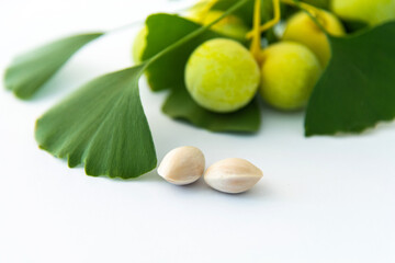 Ginkgo leaves with fruits on white background