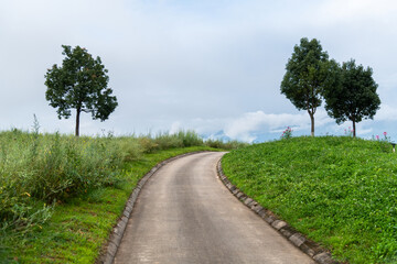 Fototapeta na wymiar Landscape of empty country path