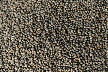 Background of green coffee beans