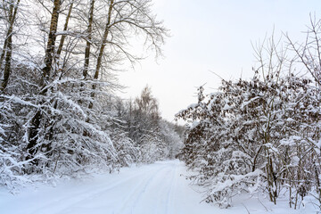 Hiking trail in a snow-covered, beautiful winter landscape.