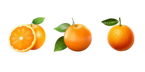 Bitter orange isolated on white background