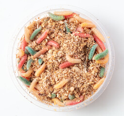 Multi-colored maggots in sawdust in a box isolated on a white background
